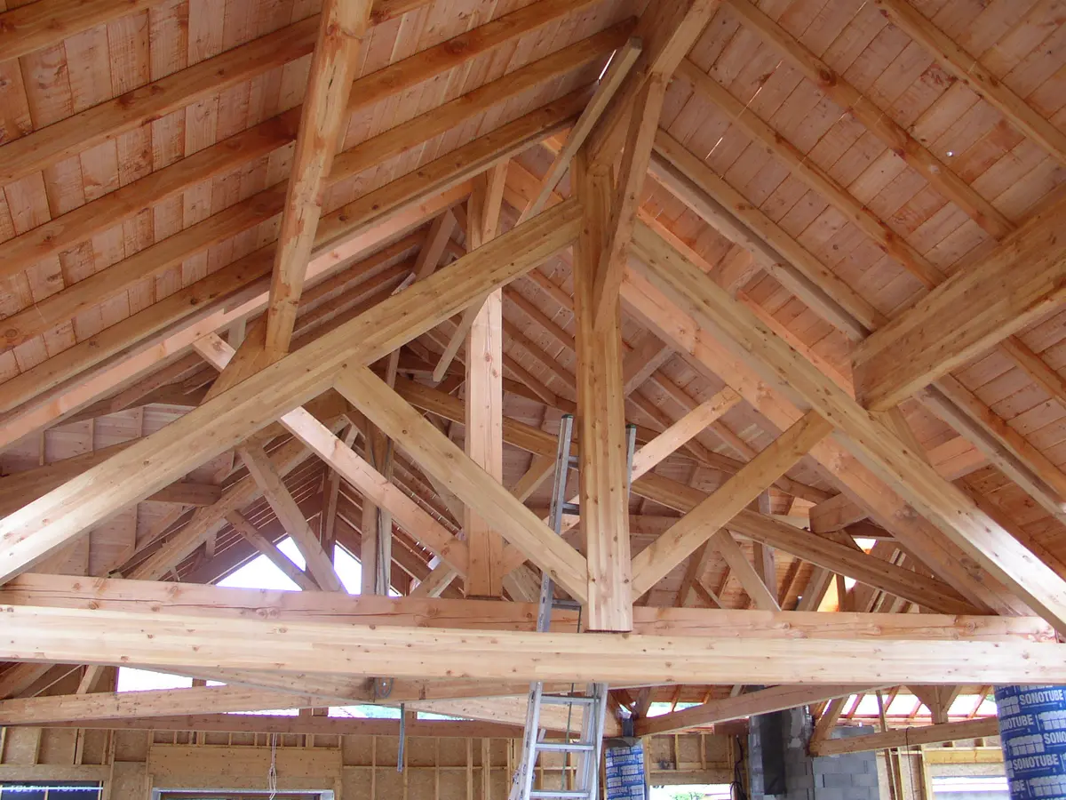 336475660_930411415077035_2097414391477380822_n - Copie