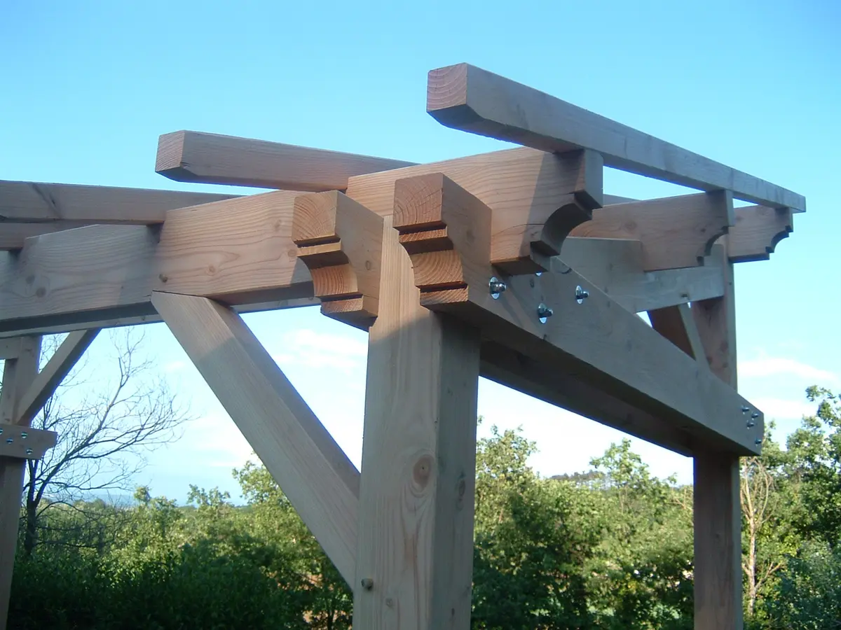 337542455_3493907797558315_3982247669886253478_n - Copie