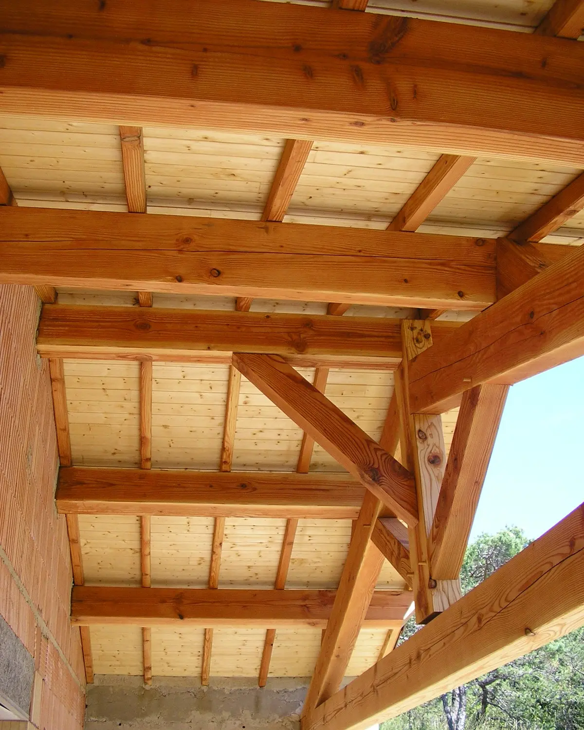 353624878_179850831720486_6765983841691859350_n - Copie