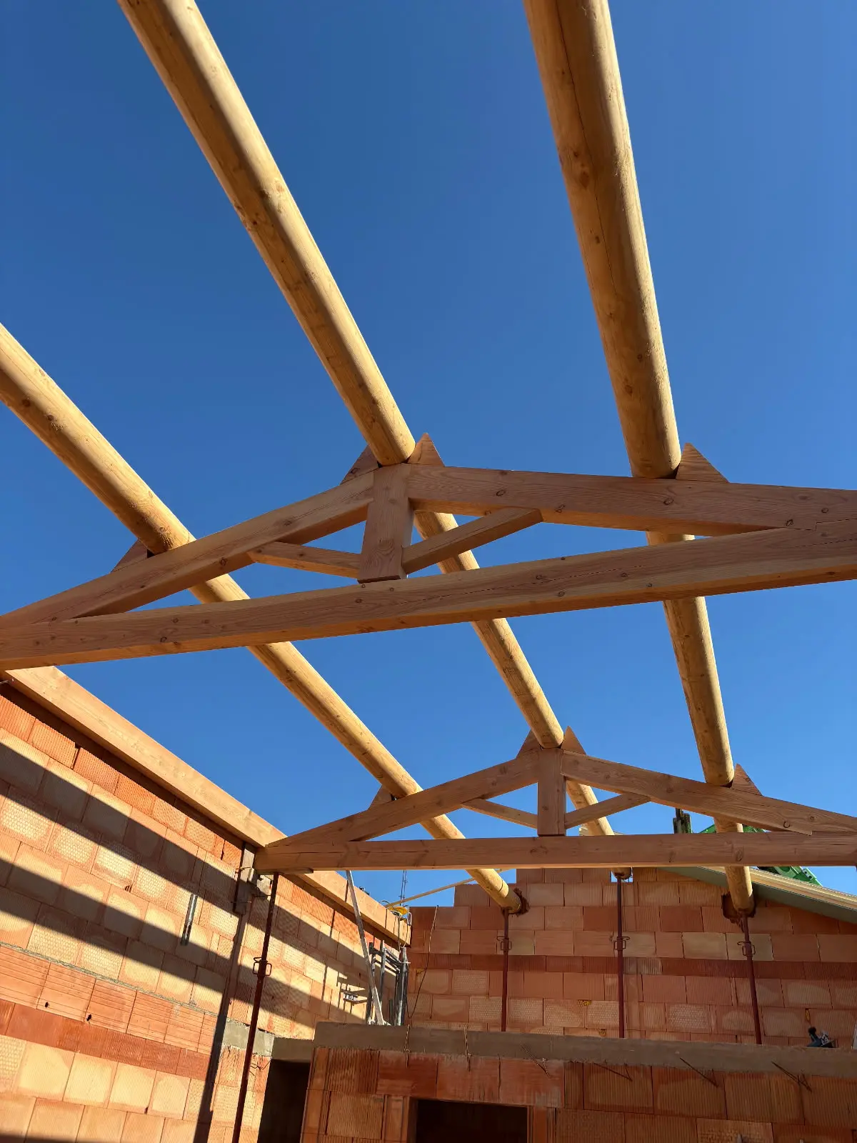 IMG_20250527_094521 (1)