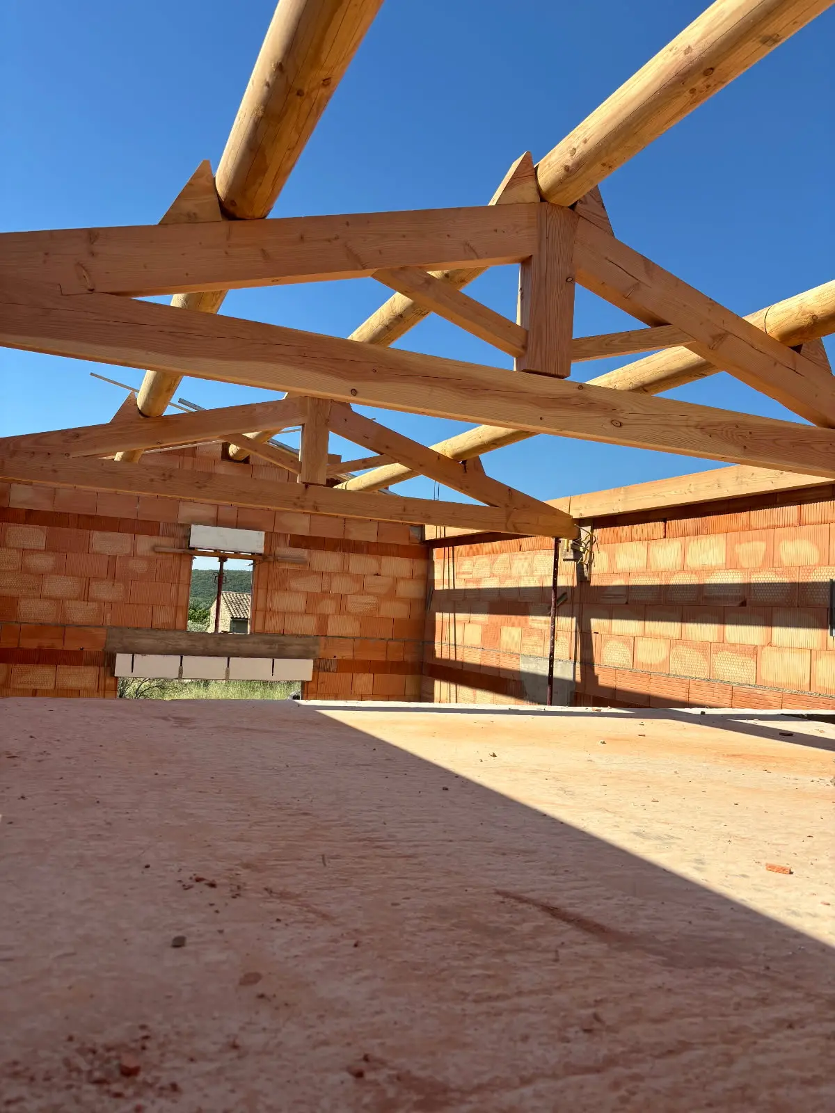 IMG_20250527_094521 (2)